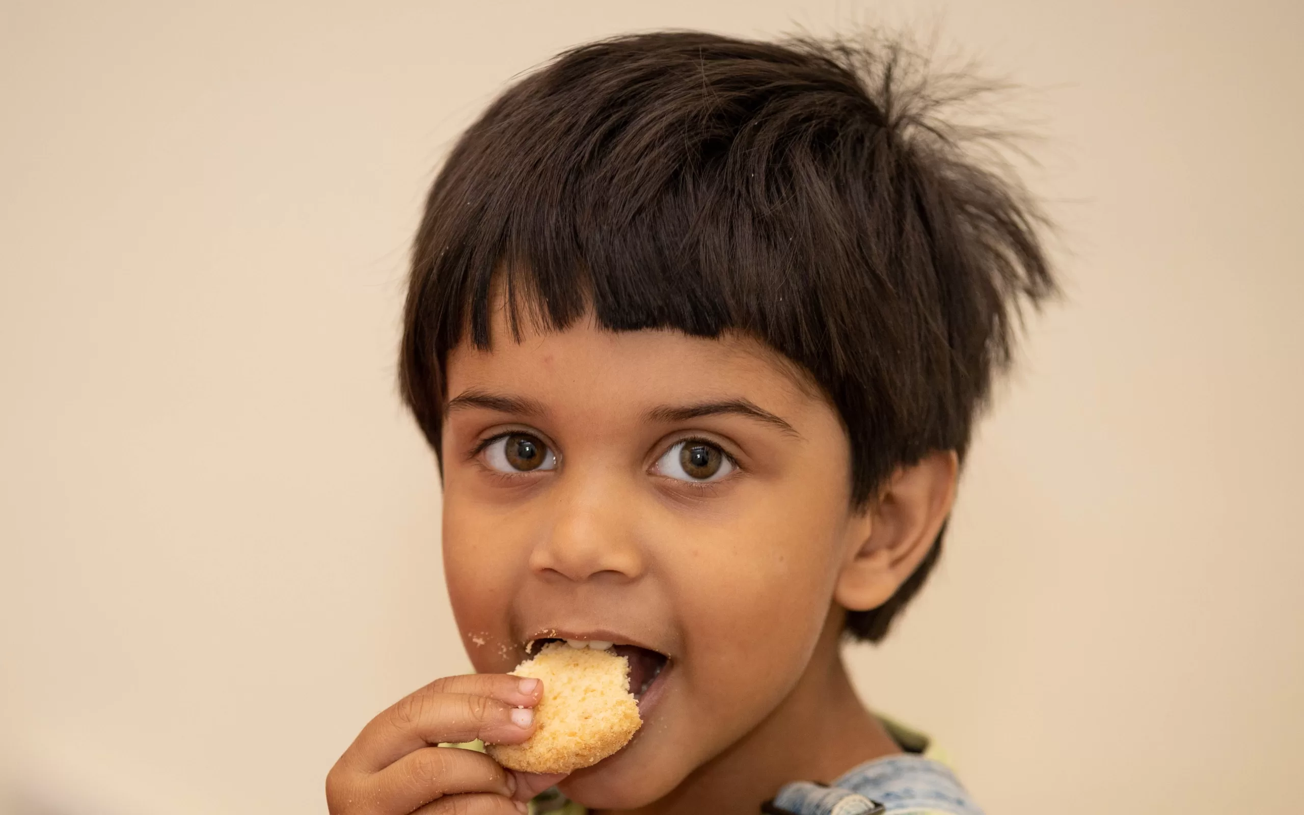 10-flavorful-indian-toddler-lunch-ideas-perfect-for-daycare-or